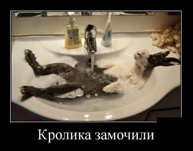 Демотиваторы (30 фото)