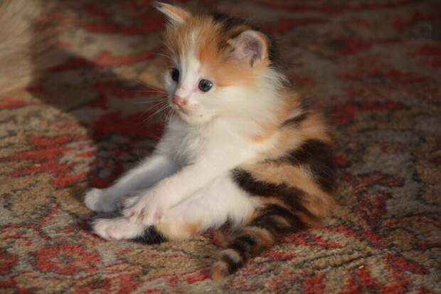 6 ноября: какой сегодня день