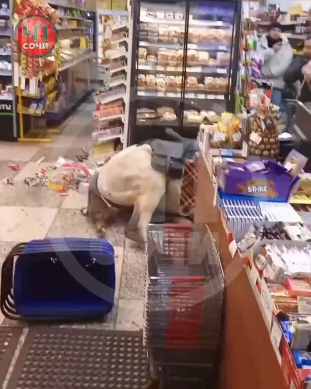 Россиянин оседлал белого коня, прискакал в магазин, устроил погром и попал на видео