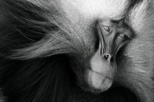 Обалденная подборка фото природы от National Geographic
