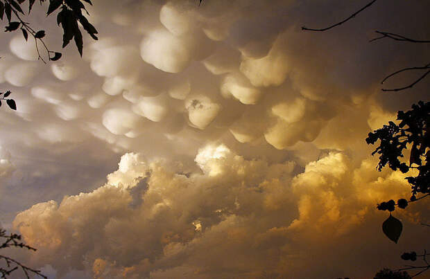 Вымеобразные облака