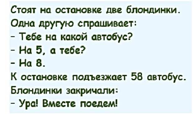 Картинки с надписями,истории и анекдоты