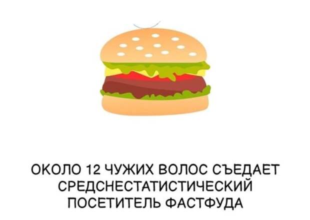 Интересные короткие факты на все случаи жизни