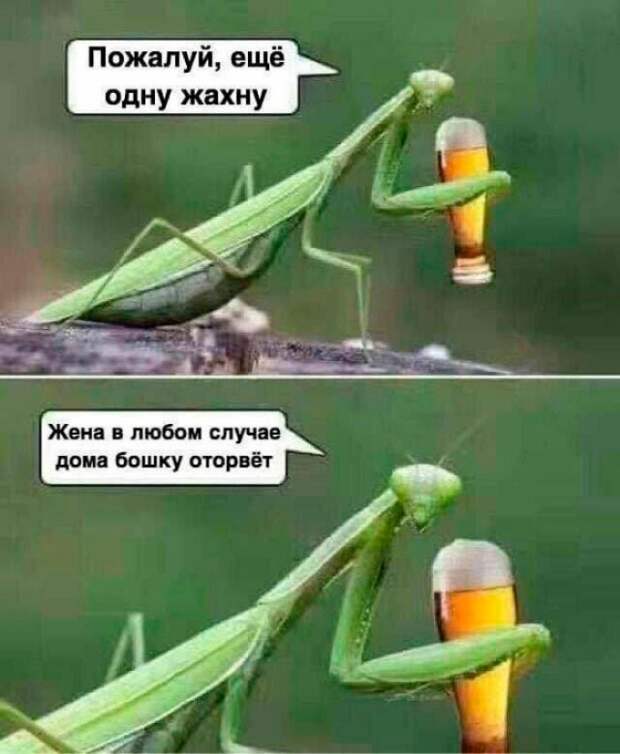 Нечего терять)