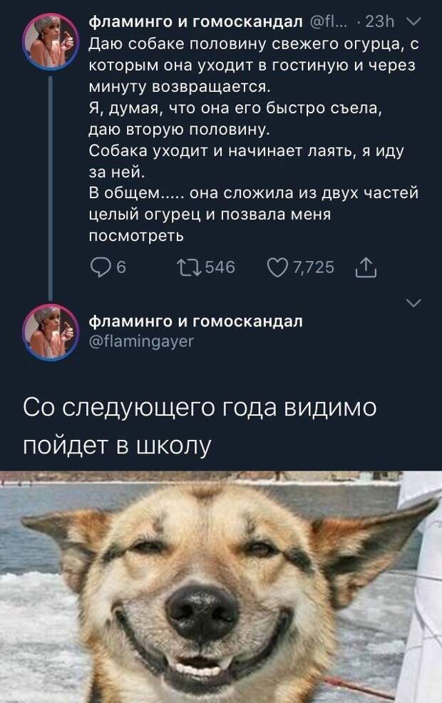 www.vsyako.net