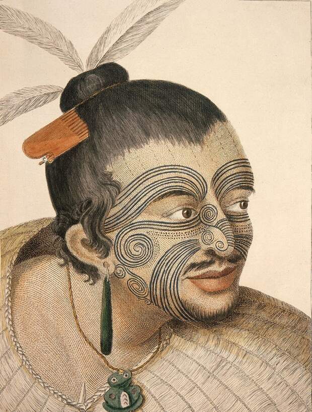 Вождь Маори с татуировкой на лице, 1784 год