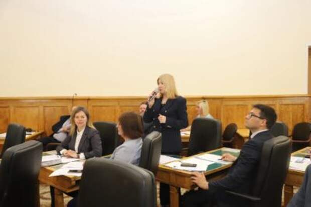 Елена Гнетова приняла участие в обсуждении законопроекта об инвестиционной деятельности