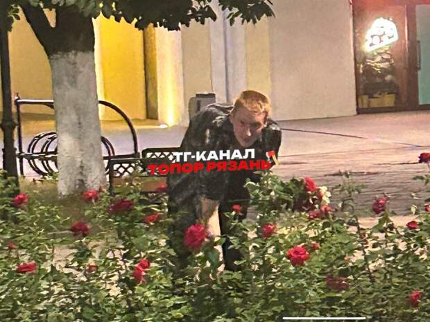 Рязанцы засняли молодого человека, который рвал цветы с городской клумбы