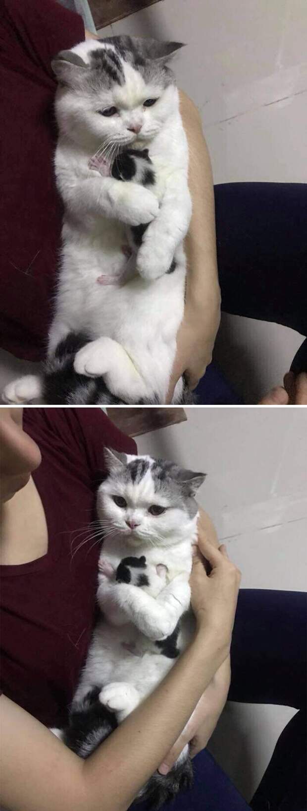 "Это моё!"