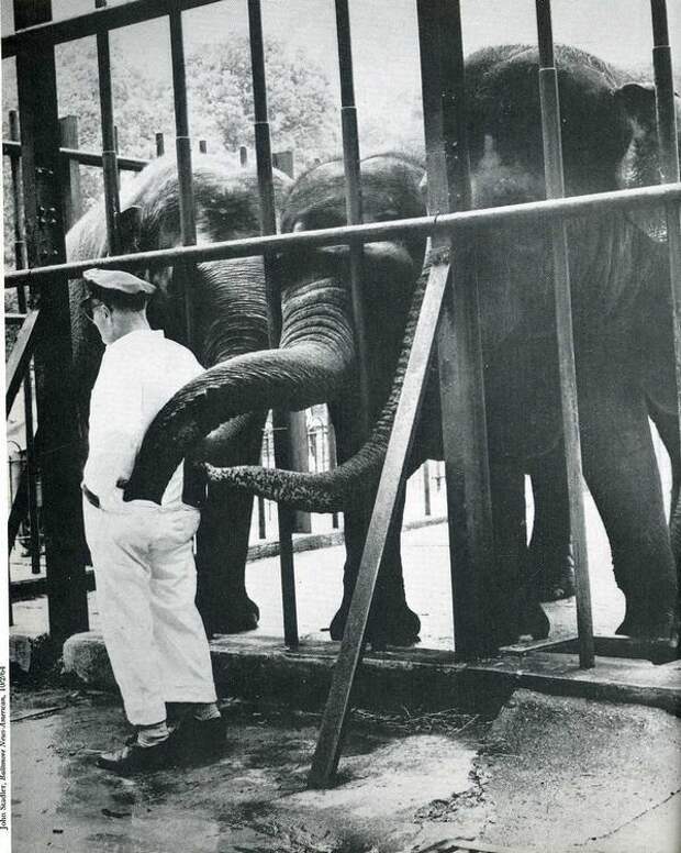 Старые фотоприколы
