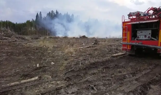 Лесной пожар под Ревдой угрожает жилым домам