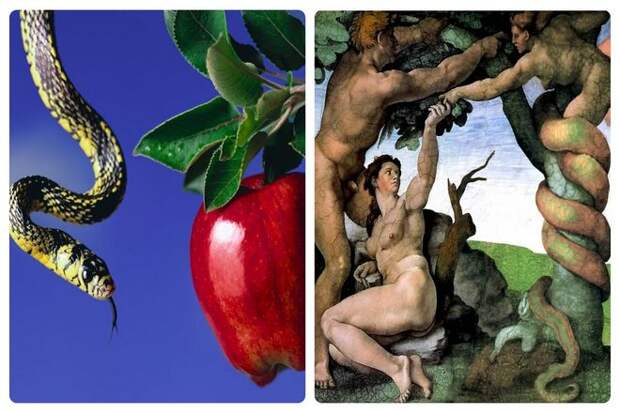 Бытие повествует об искушении Адама и Евы змеем, соблазнившем их съесть запретный плод с Древа познания. Который, для протокола, не описывается конкретно как яблоко, а просто как обычный фрукт. И, образно говоря, яблоко застряло в горле Адама.