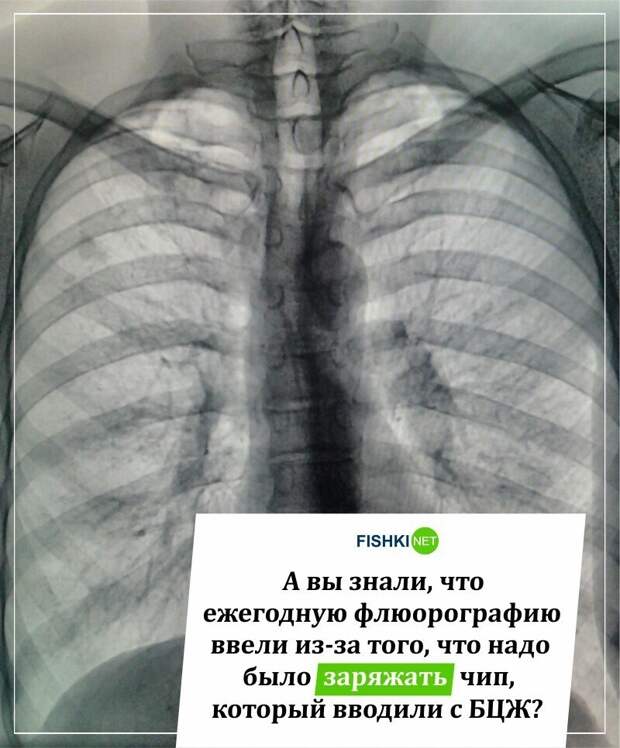 Не забудьте подзарядить чип Не забудьте подзарядить чип