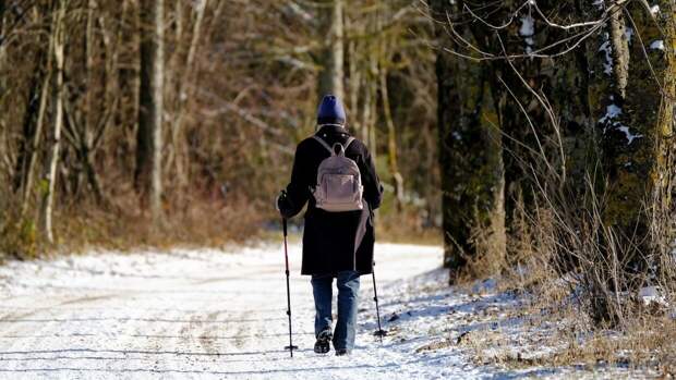 Британские врачи объяснили, какие продукты защищают организм от болезней