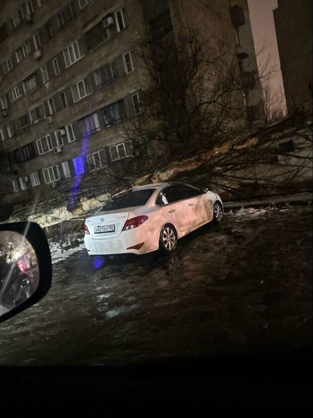Дерево упало на автомобиль на ул