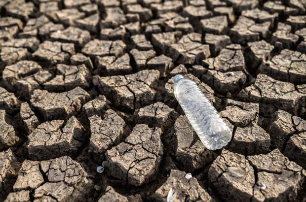 17 июня 2024 – Всемирный день борьбы с опустыниванием и засухой: История и традиции даты