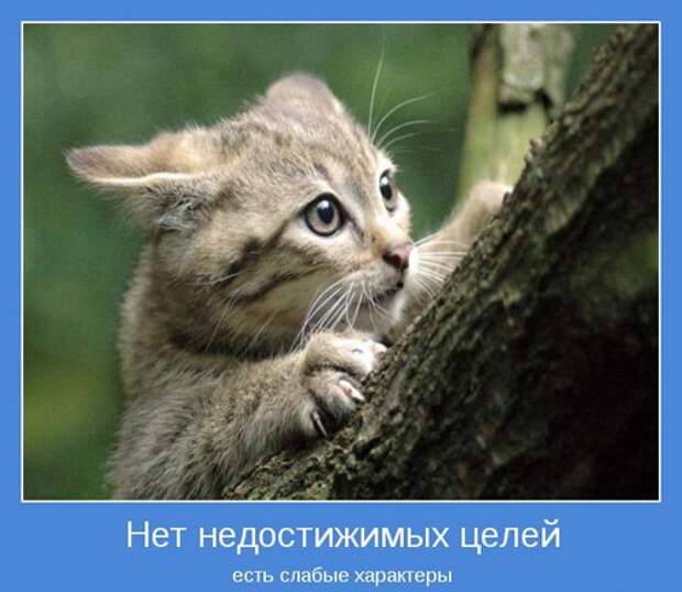 Подборка веселых и позитивных мотиваторов для настроения (10 фото)