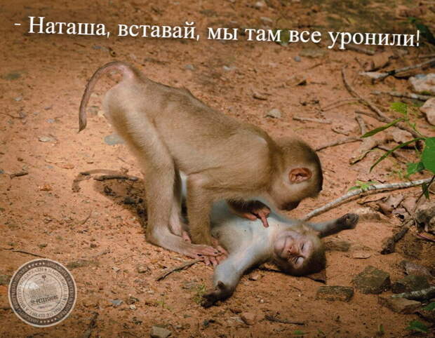 Мы все уронили