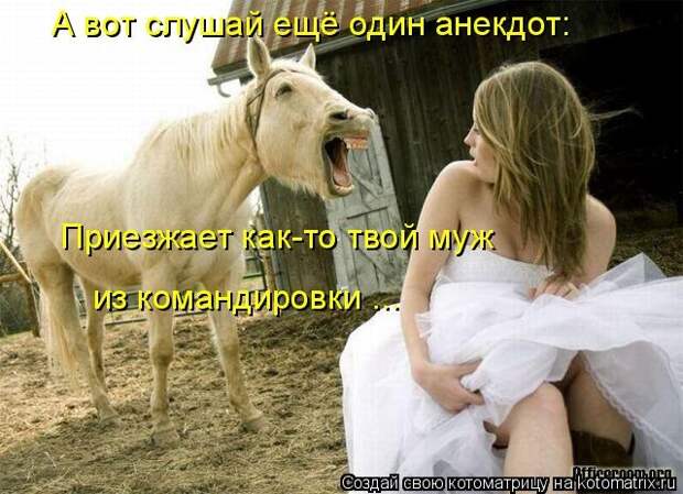 Лучшие котоматрицы недели (50 фото)