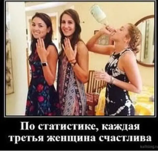 Вежливость – это не только послать, но и проводить Вежливость – это не только послать, но и проводить обезьян, автобус, будет, чтобы, зовут, бизнесмен, Hастроение, ничего, денег, парень, когда, работает, Аркадий, последних, слово, троллейбус, перед, Обезьян, Hормальное, Попрыгай