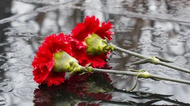 В Волгоградской области рассказали о планах по реставрации памятников и братских захоронений