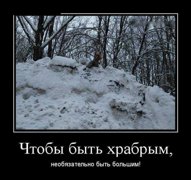 Демотиваторы (30 фото)