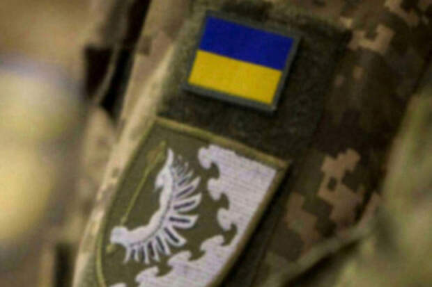 Украинских генералов описали фразой «уж лучше искусственный интеллект»