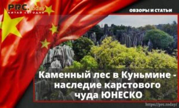 Каменный лес