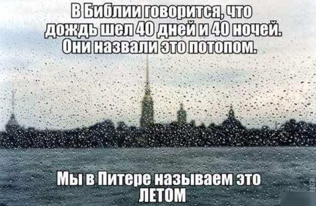 www.vsyako.net