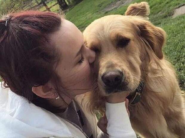 Собаку целуют Девушка целует собаку
