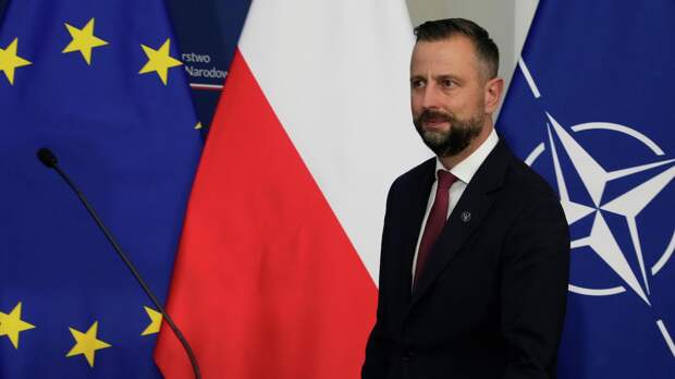 Польша "вырастила" свою "Герань". В Варшаве хвастаются новым беспилотником