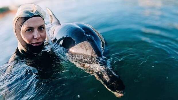 Кладет голову на плечо, когда устает: в Севастополе девушка-русалка «выгуливает» дельфина Бублика