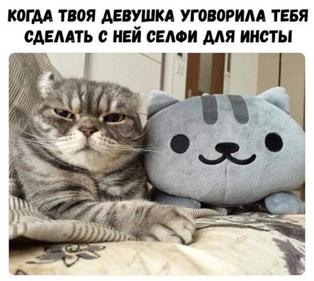 Прикольные и смешные картинки от Димон за 17 января 2019 Прикольные и смешные картинки от Димон за 17 января 2019