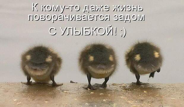 Всяко - разно 11 ))) Всяко - разно 11 )))