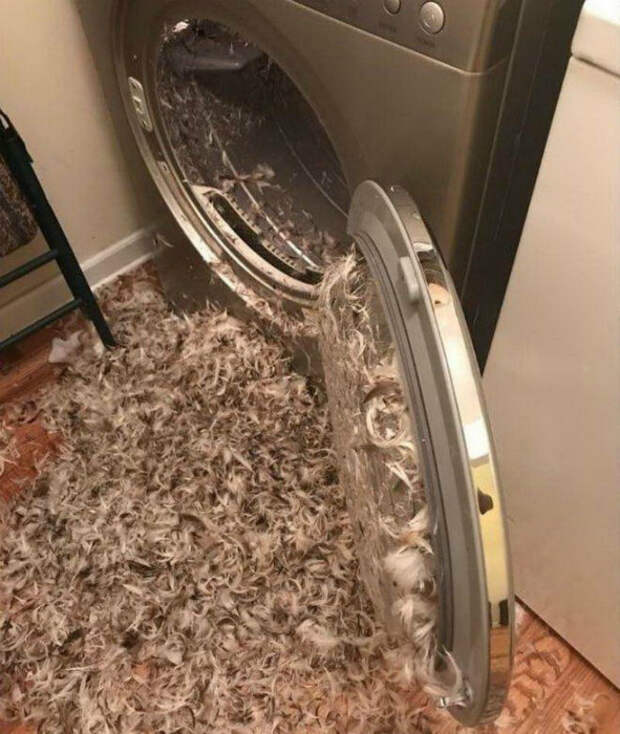 16 фотографий, на которые стоит смотреть, когда кажется, что все плохо