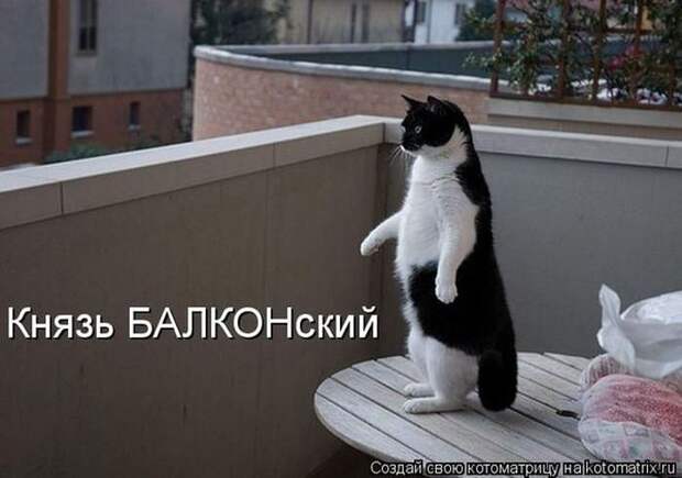 Мысли вслух :)