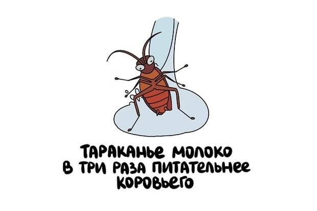 Интересные короткие факты на все случаи жизни
