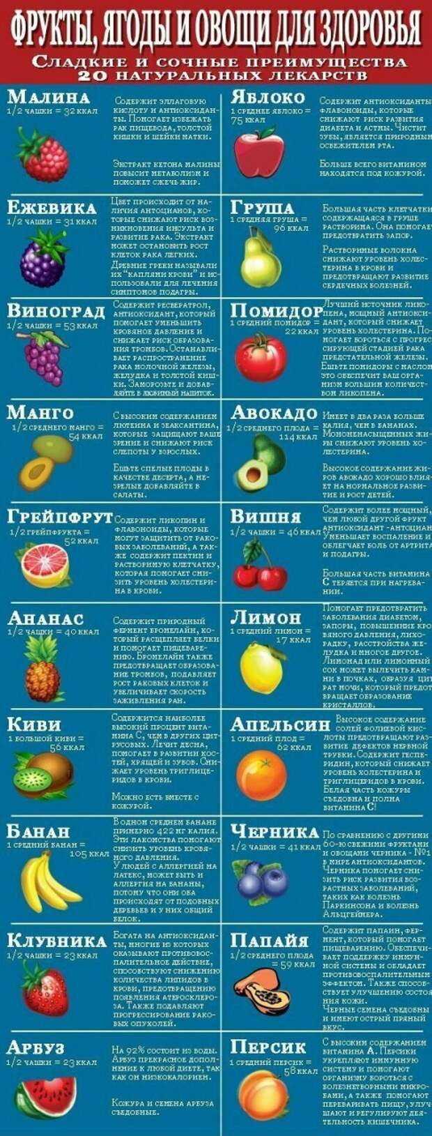 Шпаргалки, которые пригодятся любителям покулинарить Шпаргалки, которые пригодятся любителям покулинарить