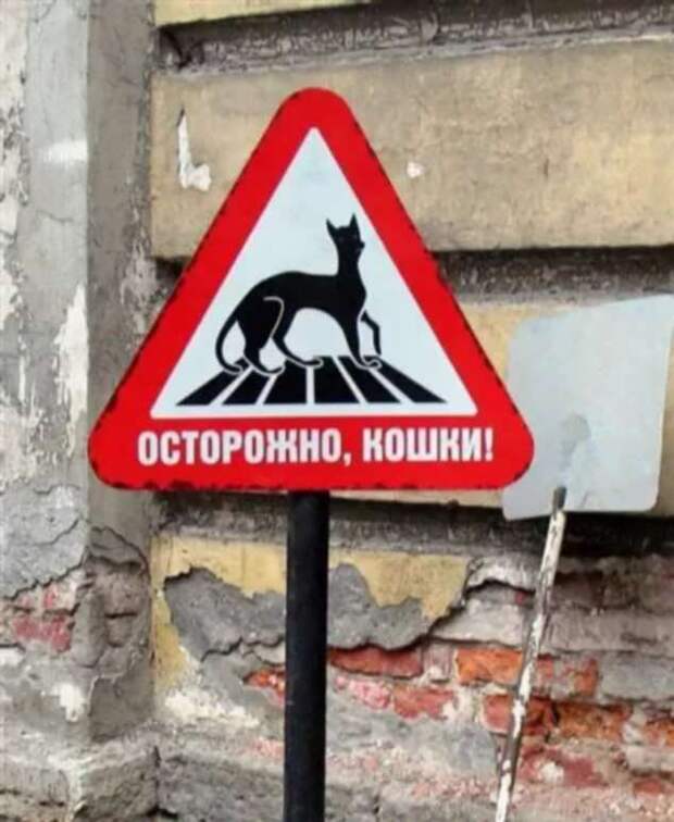 Предупреждающие таблички. Прикольные. Подборкаchert-poberi-tablichki-15430901072020-15 картинка chert-poberi-tablichki-15430901072020-15