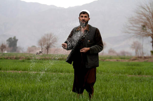 Afghanistan Daily life