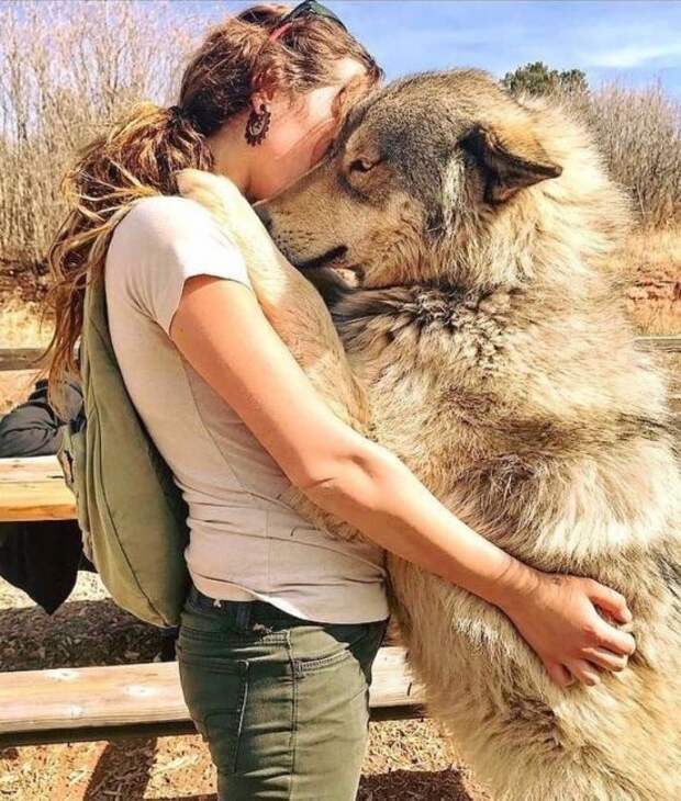 Обнимашки