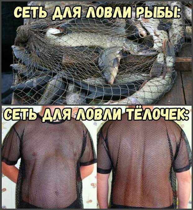 Картинки с надписями картинки, картинки с надписями, надписи, прикол, юмор