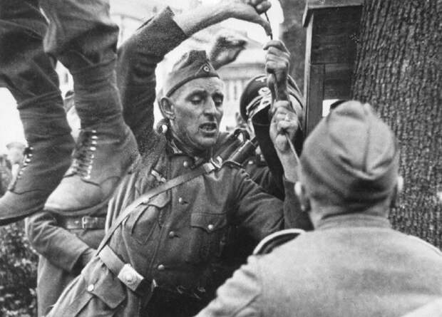 Казнь местного жителя, который убил в Витебске немецкого солдата. Казнь местного жителя, который убил в Витебске немецкого солдата.