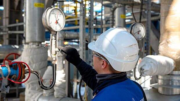 В ФРГ рассказали об ущербе для промышленности страны из-за отказа от газа РФ