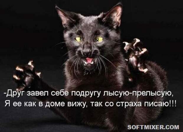820e352bd4038cb7565d1bc4de9_prev