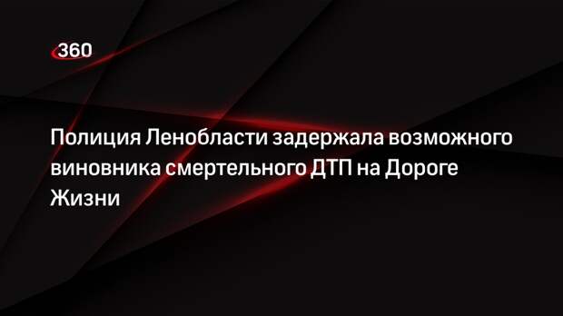 Полиция Ленобласти задержала возможного виновника смертельного ДТП на Дороге Жизни