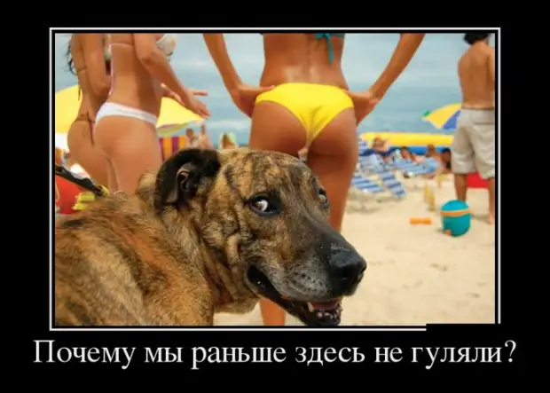 Не знаю, что за люстру повесили соседи снизу, но благодаря им у меня на кухне теперь есть теплый пол! мужик, магазин, сейчас, мужика, смотрит, раньше, встать, Через, телевизор, жизнь, хлеба, домой, можно, времени, крыльца, вторую, когда, Залетает, Женщина, лошадь