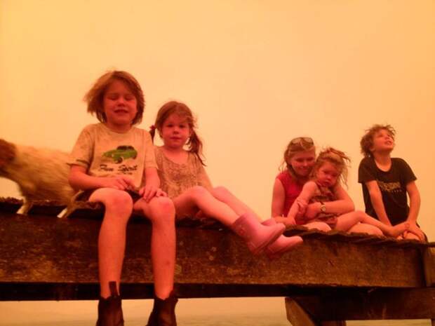 Спасаясь от огня (5 фото)