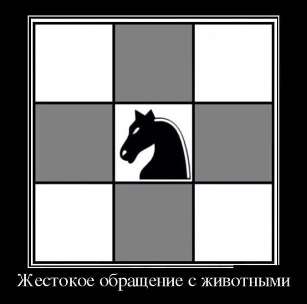 Демотиваторы №1019 (30 фото) Демотиваторы №1019 (30 фото)