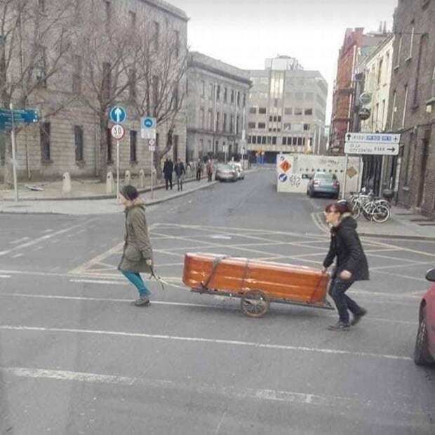 Подборка прикольных картинок